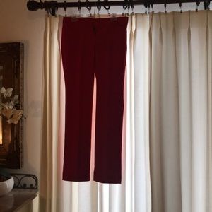 Express ladies pants